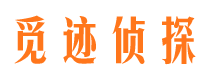 海口市私家侦探